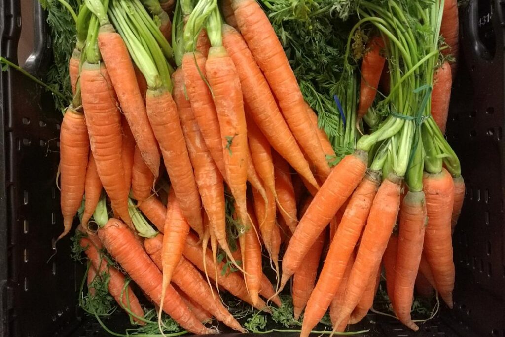 Studie: Beta-Carotin kann Enzymaktivität steigern