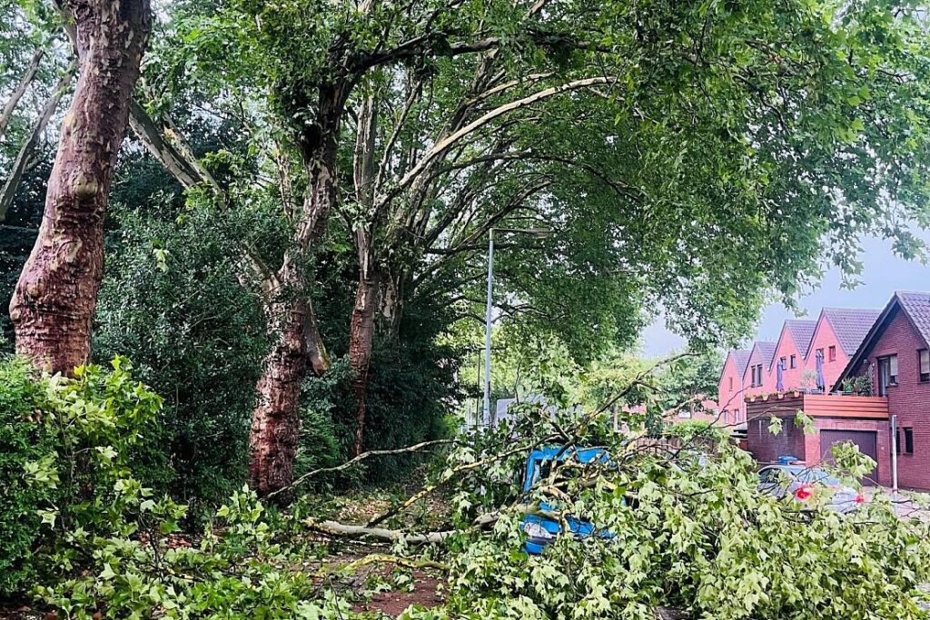 Sturmschäden in Oberhausen-Alstaden behindern Verkehr