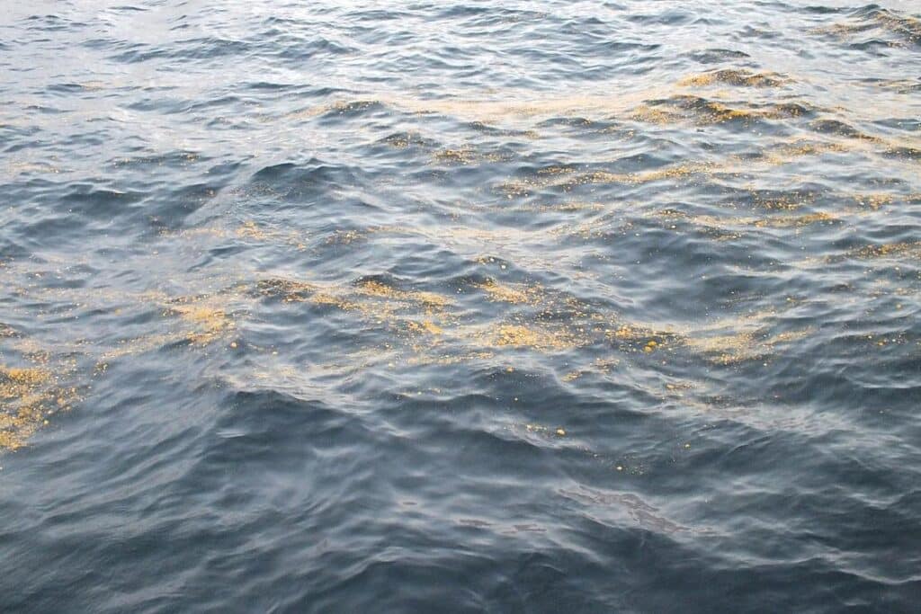 Tankschiff nach Ölverschmutzung in der Nordsee verdächtigt