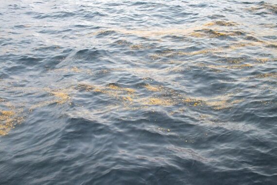 Ölverunreinigung in der Nordsee, Bundespolizei untersucht schwedisches Tankschiff als Verdächtigen.