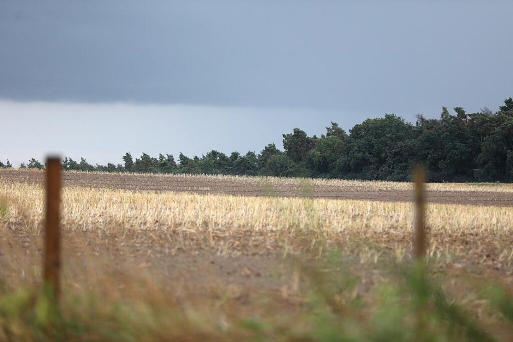 Wetterbericht für Mecklenburg-Vorpommern (08.07.2025)