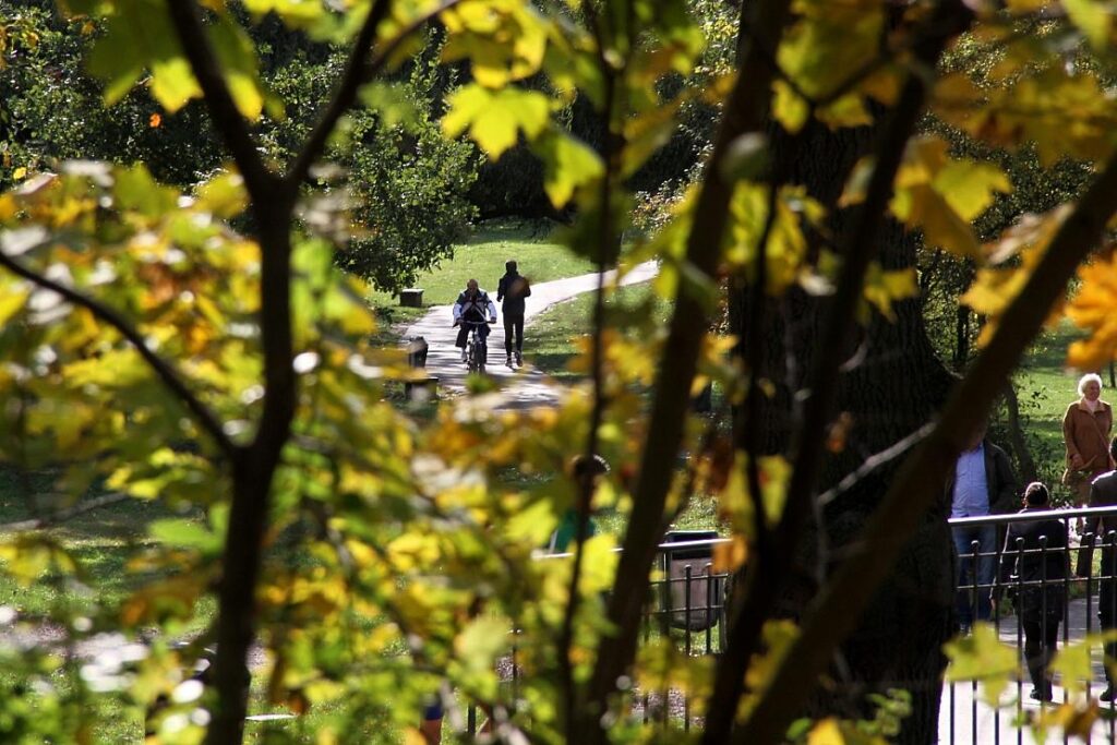 Wetterbericht für Nordrhein-Westfalen (23.07.2025)