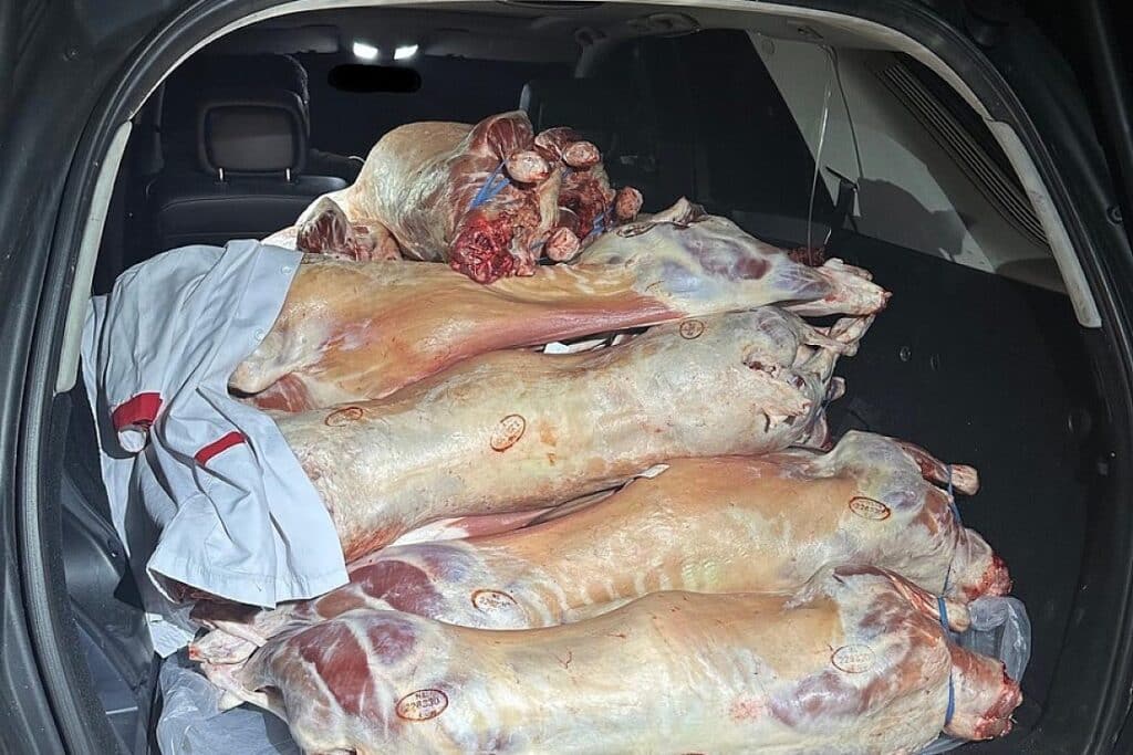 Zoll entdeckt unzulässigen Fleischtransport in Weil am Rhein