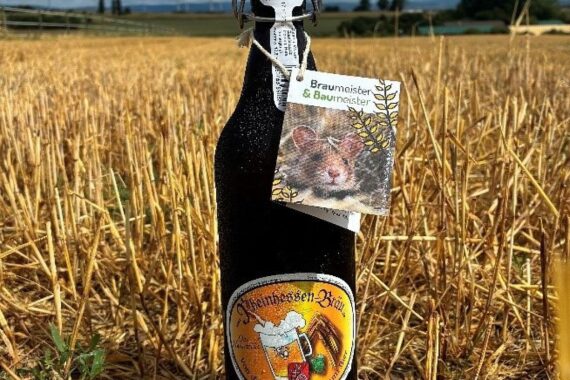 Feldhamsterbier-Feier: Klimaschutzministerin präsentiert nachhaltiges Bier für Artenschutz in Rheinland-Pfalz.