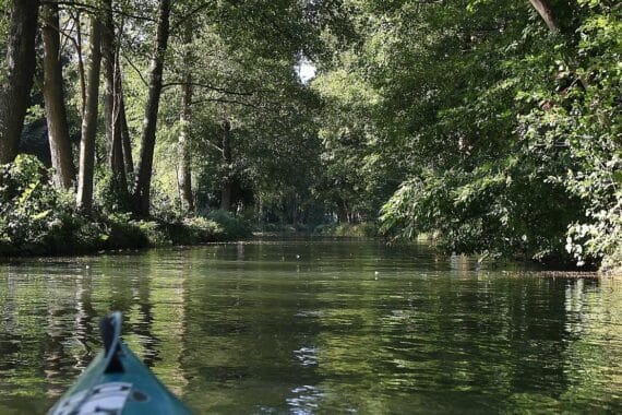 Spreewald: Neu strukturierte Flächen, Wege, Brücken, Biotope und Kahnliegestellen im modernen Umfeld.