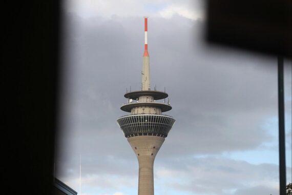 Fällung kranker Bäume in Düsseldorf, mit Rheinturm im Hintergrund, symbolisiert städtische Nachhaltigkeit.