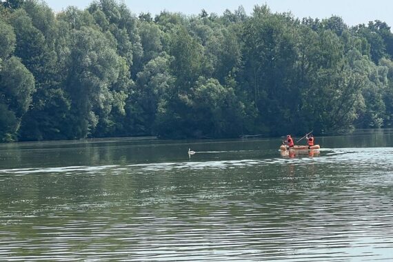 Feuerwehr rettet Schwan aus Angelschnur am Meschesee mit Boot und Wiederfreilassung.