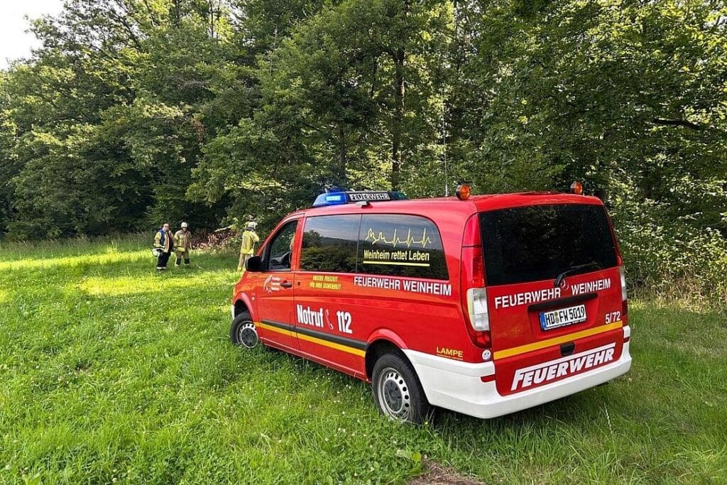 Feuerwehr rettet verletzten Arbeiter aus unwegsamem Wald bei Weinheim