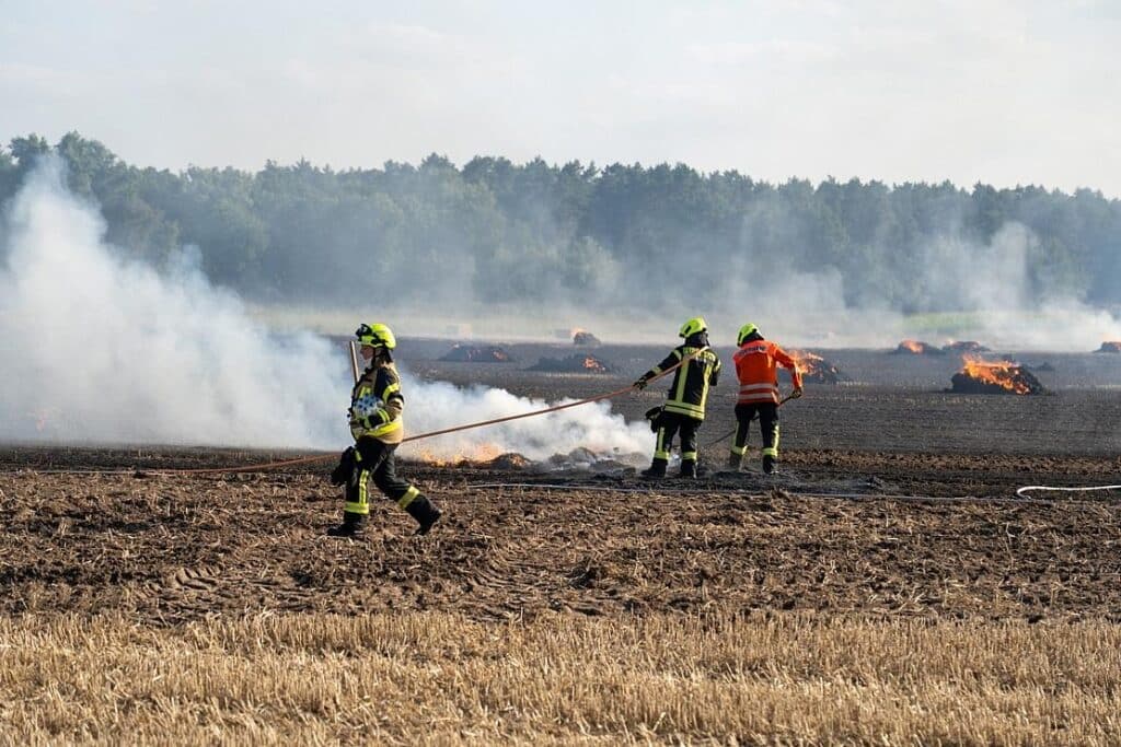 Großeinsatz der Feuerwehr bei Flächenbrand nahe Papenhorst