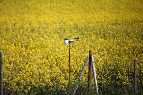 Wetterstation über Rapsfeld, symbolisiert innovative Landwirtschaft und nachhaltige Entwicklungen in Hessen.
