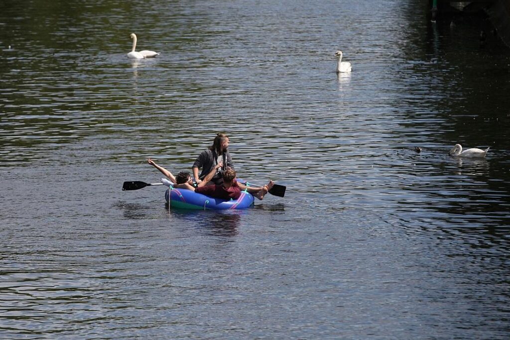 Köln plant Badeverbot im Rhein nach tödlichen Unfällen