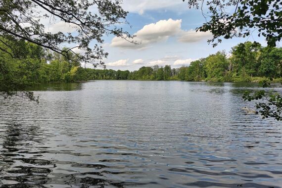 Badesee mit ruhigem Wasser, umgeben von Natur, als Symbol für Wasserentnahmeverbot und ökologische Wichtigkeit.