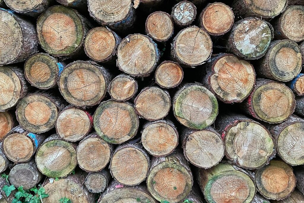 Niedersachsen setzt Waldbrand-Kooperation mit Feuerwehrverband fort