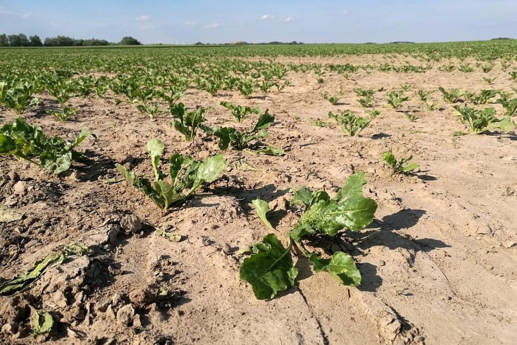 Niedersachsen sucht Ideen für nachhaltige Landwirtschaft