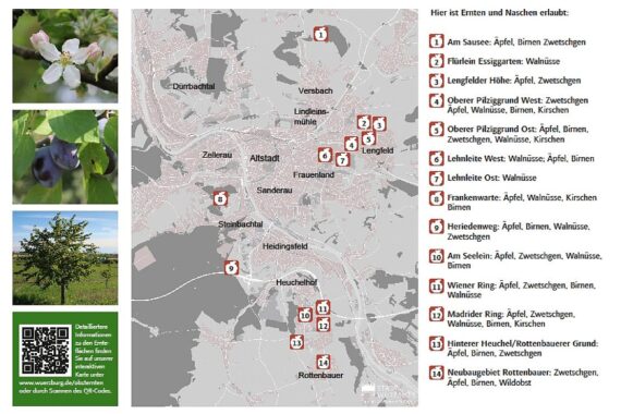 Menschen ernten Obst in Würzburg, Schild mit Informationen über das Ernteprojekt im Hintergrund.