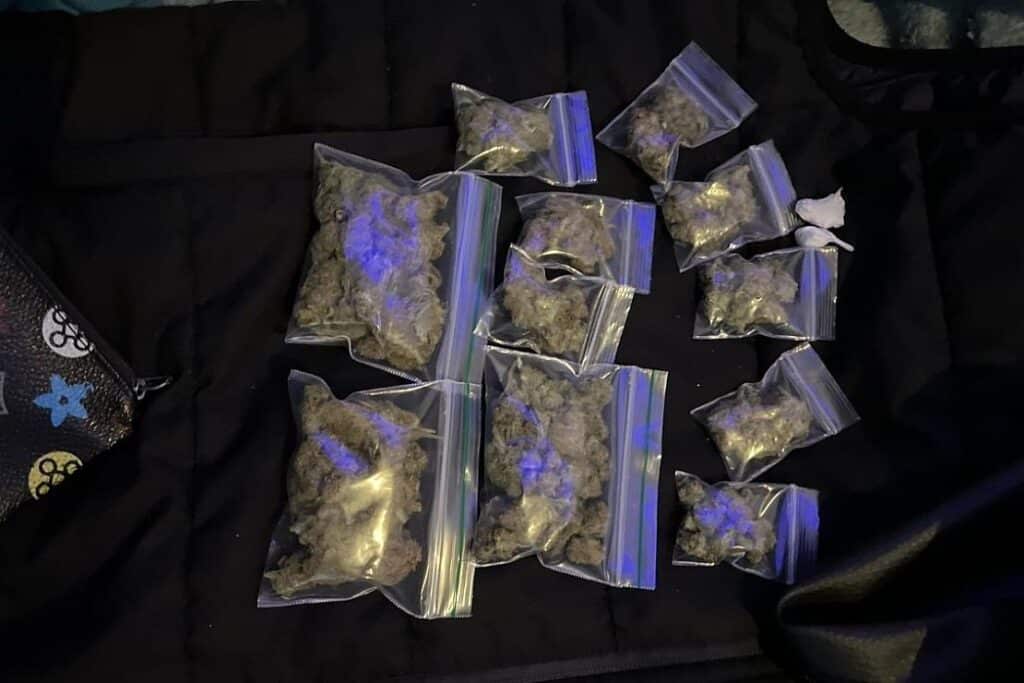 Polizei nimmt sieben Personen bei Drogenrazzia fest