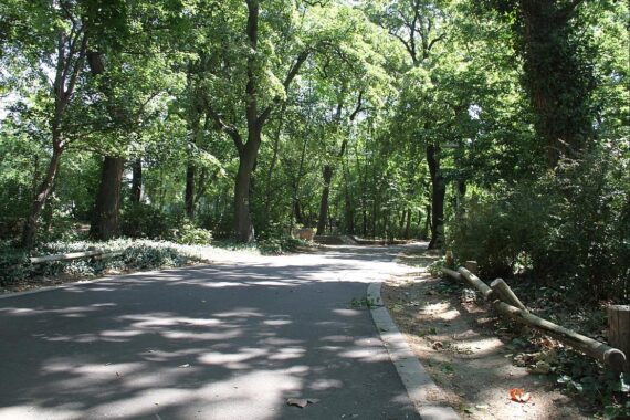 Grünflächen von Rostock, Parks und nachhaltige Stadtentwicklung zur Verbesserung der Lebensqualität.