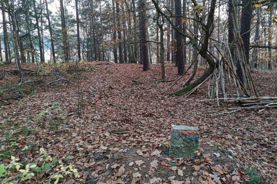 Eine Laubtonne im Garten, umgeben von herbstlichen Blättern und Bäumen.