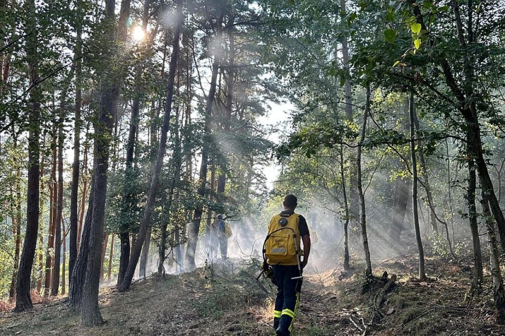 Waldbrand im Nationalpark Eifel bei Schmidt