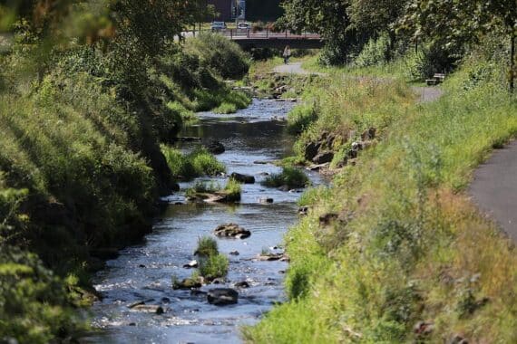 Gewässer mit niedrigem Wasserstand, Hinweisschilder zum Entnahmeverbot und trockene Uferbereiche.