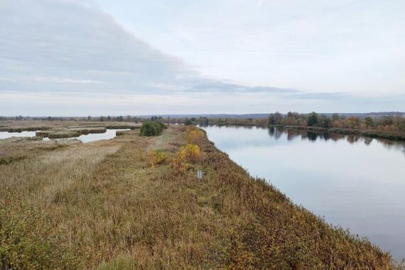 Sonniger Nationalpark mit blauen Himmel, vereinzelt Wolken, angenehme Temperaturen, ruhige Natur.