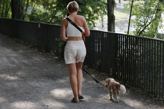 Frau mit Hund spaziert bei schönem, sonnigem Spätsommerwetter in Hessen.