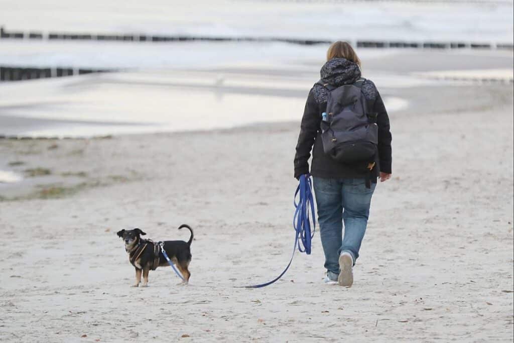 Wetterbericht für Schleswig-Holstein/Hamburg (01.08.2025)