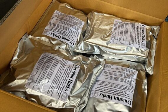 Zollhund entdeckt verstecktes Cannabis in Kokosnussschalen-Container während Kontrolle in Bremen.