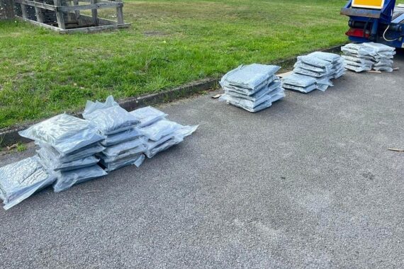 Zollfahndung sichert 52 kg Marihuana in Lkw, Spürhunde bemerkten Drogen unter Olivenöl.