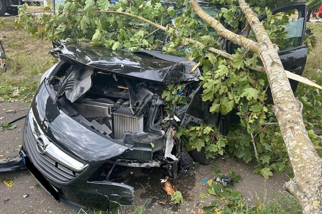 90-Jährige bei Baumunfall auf B 48 bei Alsenz verletzt