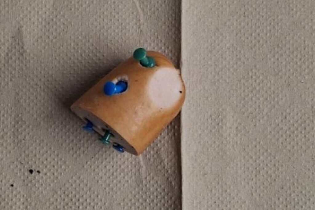 Gefährlicher Tierköder mit Reißnägeln in Lippstadt entdeckt