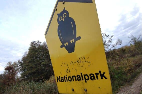 Grüne Politik fordert mehr Naturschutzbildung: Vielfalt, Engagement, ökologische Zukunft in der Natur.