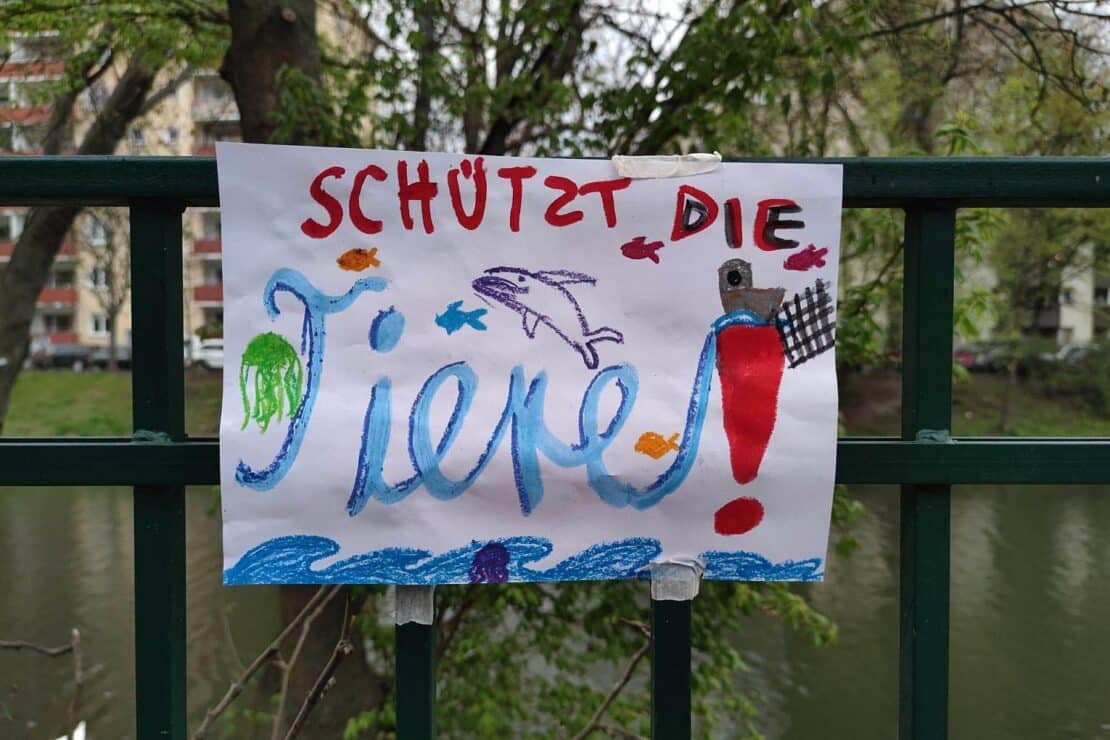 Hamburg schränkt Mähroboter-Nutzung zum Igelschutz ein