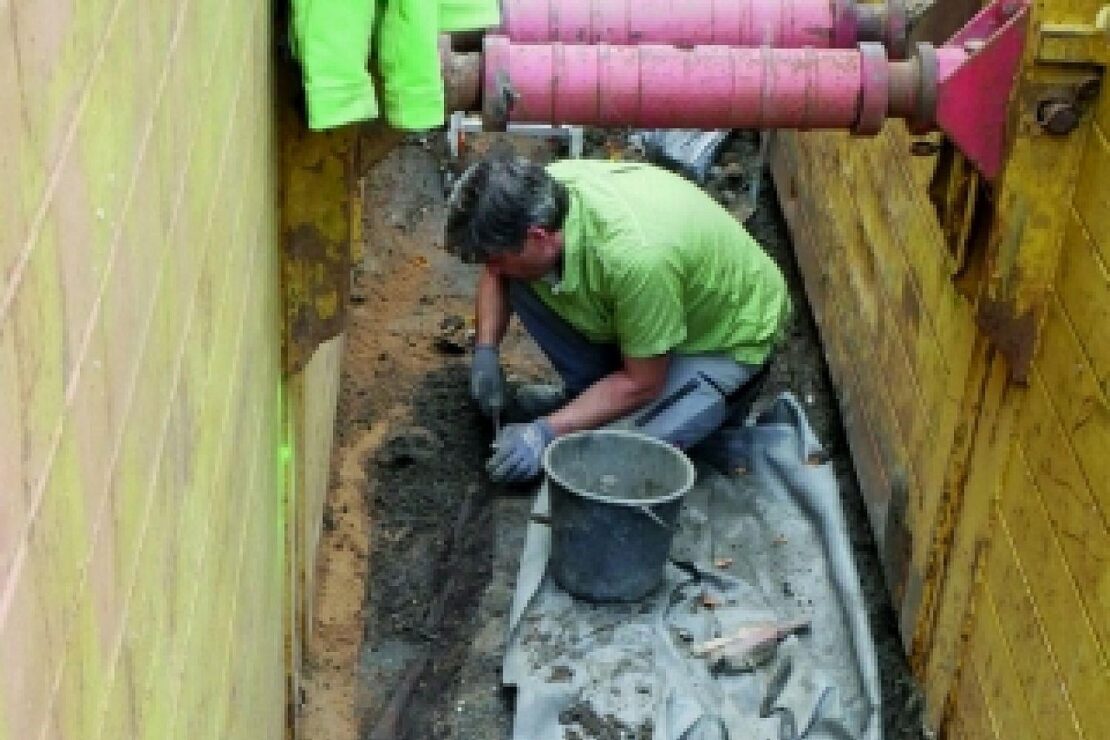 Historische Knochen bei Bauarbeiten in Lübeck entdeckt