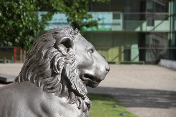 Studierende feiern ihren Abschluss an der Universität Halle mit Urkunden und Freude.