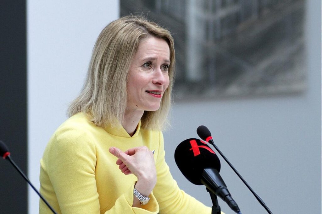 Kallas will EU-Interessen "mit Zuckerbrot und Peitsche" verteidigen