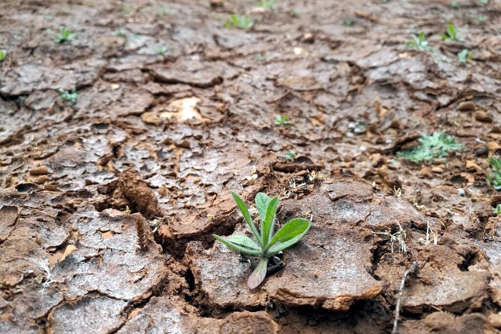 Klimawandel verursacht in Baden-Württemberg steigende Kosten