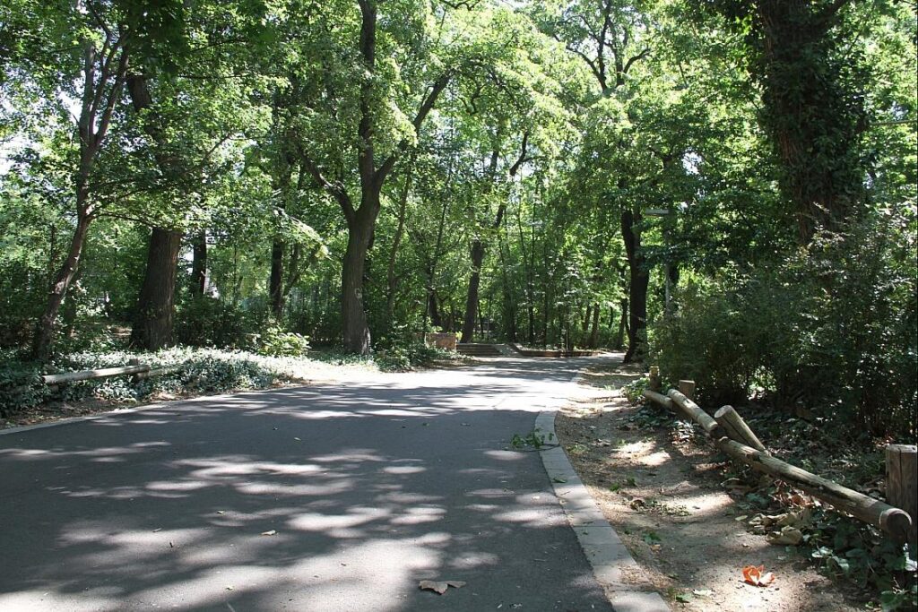 Spaziergang zu Klimaschutz und Klimaanpassung in Würzburg