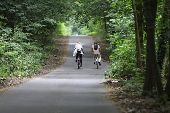 Fahrradfahrer genießt sonnigen Tag im Wald, umgeben von Natur und blauen Himmel.