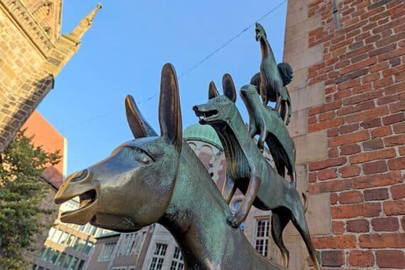 Herbstliche Landschaft mit Sonne, freundlichem Wetter, vielleicht Nebel und bunter Laubfarbe.