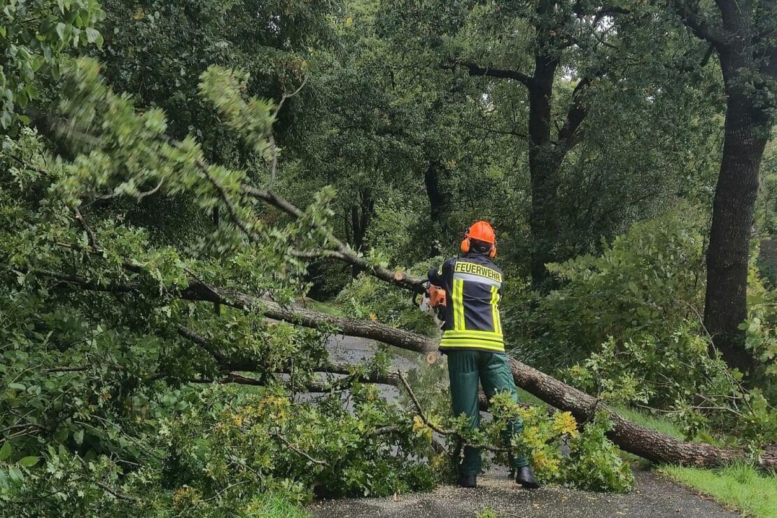 Baum blockiert Straße in Aurich-Wiesens