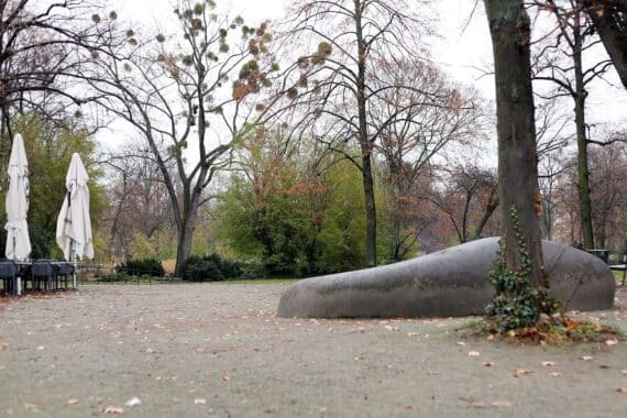 Kleiner Tiergarten in Berlin, Diskussion über das Baum-Entscheid-Gesetz, Sonnenlicht, Bäume, Natur.