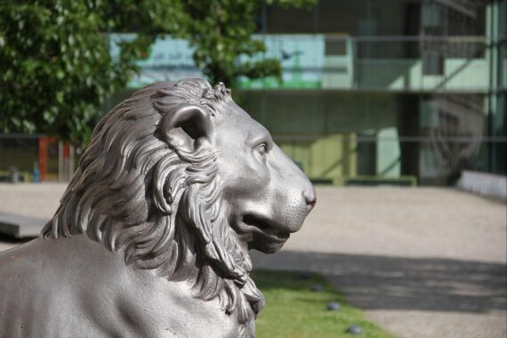 Grafik von Universität Halle, zeigt steigende Beschäftigtenzahlen an Hochschulen in Sachsen-Anhalt.