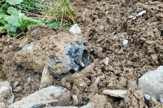 Historische Phosphorgranate aus dem Zweiten Weltkrieg in Weinbergen entdeckt und erfolgreich geborgen.