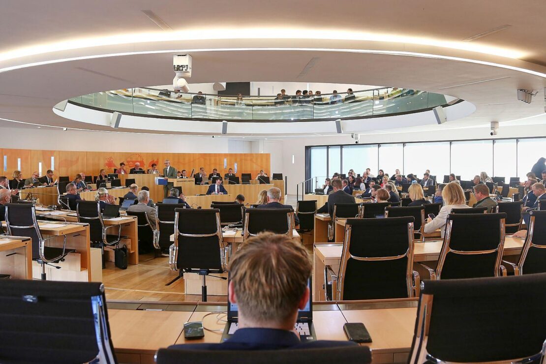 FDP kritisiert Biotop-Kartierung in Schleswig-Holstein