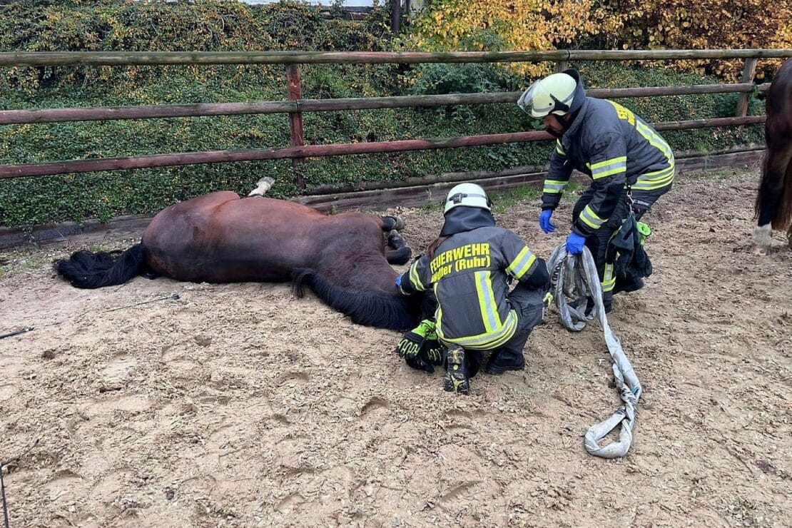 Feuerwehr Wetter rückt zu drei Einsätzen aus