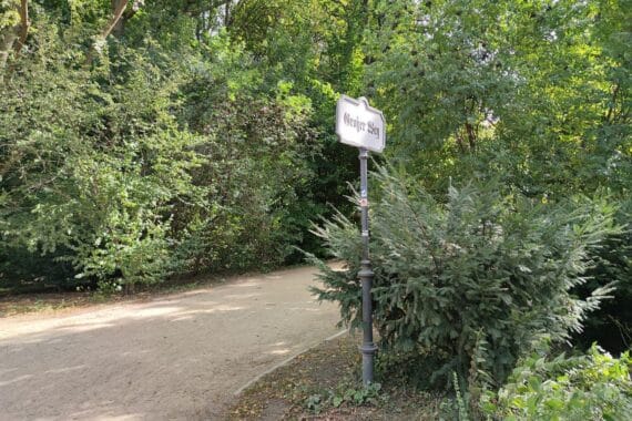 Grüne fordern mehr Bäume in Berlin: Ein schöner Alley-Weg zwischen Bäumen im Tiergarten.