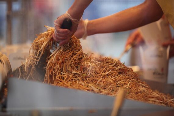 Eine Vielzahl von Nudeln und asiatischen Gerichten in einem ansprechenden Restaurant-Setting.
