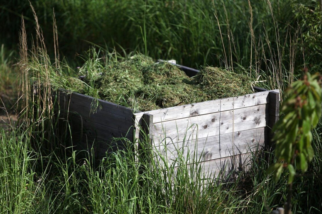Potsdam sammelt Grünabfall an zwei Herbstsamstagen