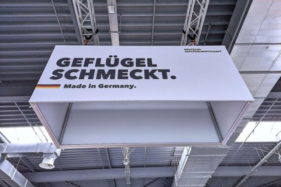 Vogelgrippe, Eier, Geflügelfleisch, ZDG, Dringlichkeit, Politik, Impfstrategien, Versorgungssicherheit, Gesundheitskrise.